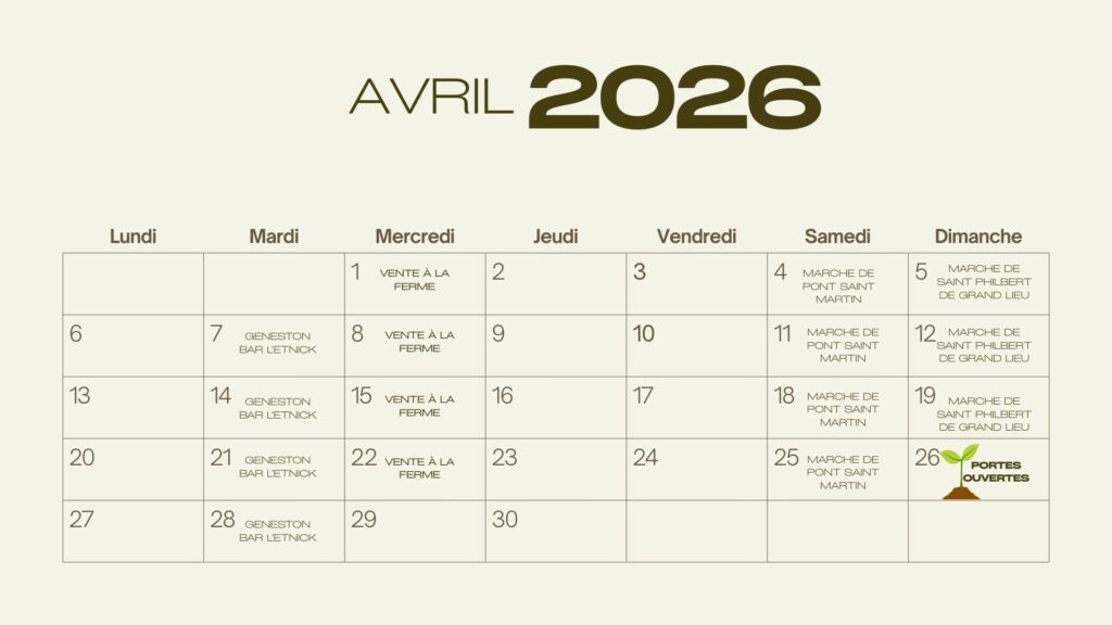 calendrier 2026 minimaliste simple olive beige (1)
