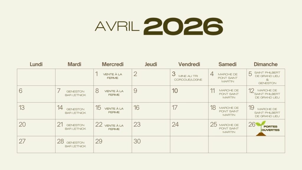 calendrier 2026 minimaliste simple olive beige (1)
