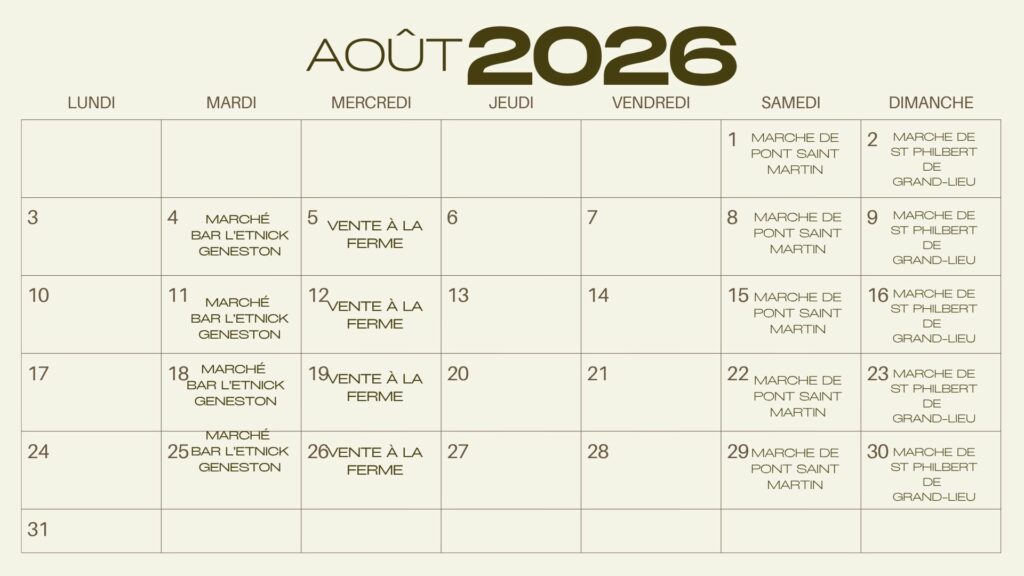 1out 2026